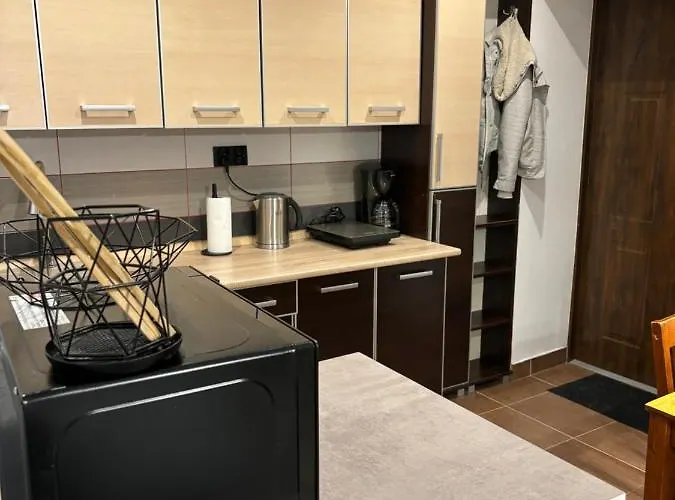 Lejlighed Centrum Blisko Pkp