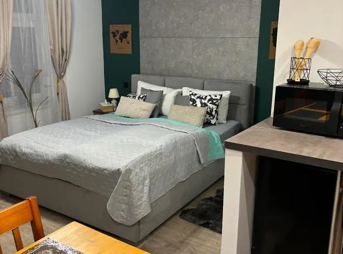 Lejlighed Centrum Blisko Pkp *